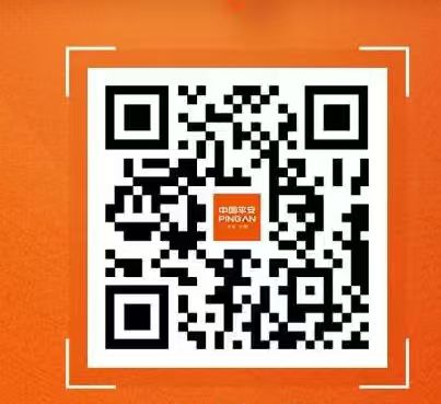 1767961083017.jpg 1765956129525.jpg